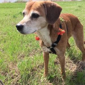 Meet your Posher, Robyn